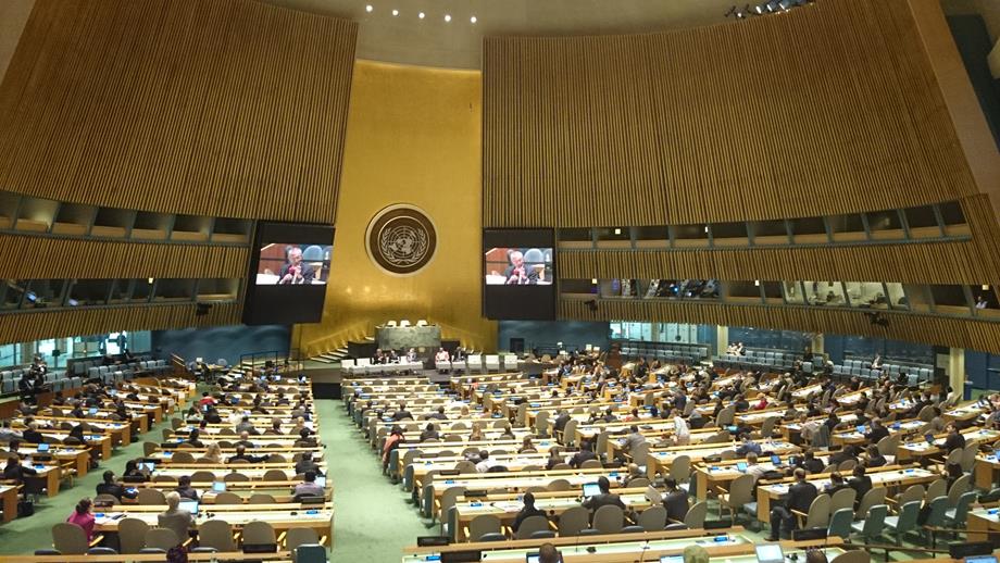 The United Nations General Assembly