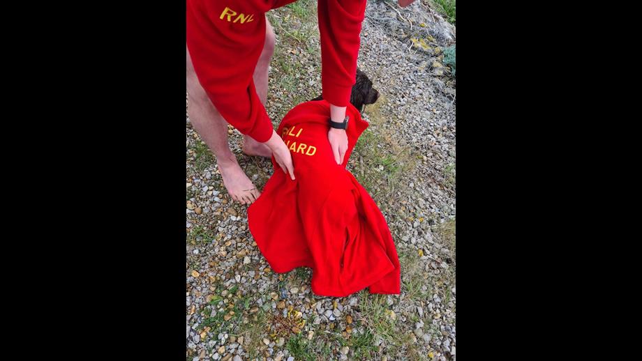 Dog Coco after the rescue kept warm with a fleece by RNLI lifeguard Owain