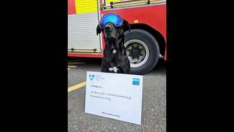 Black labrador wearing safety goggles sits by a fire appliance with a pledge card referring to 'Go Blue for World Drowning Prevention Day'
