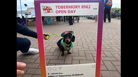 A well-dressed daschund enjoying the day