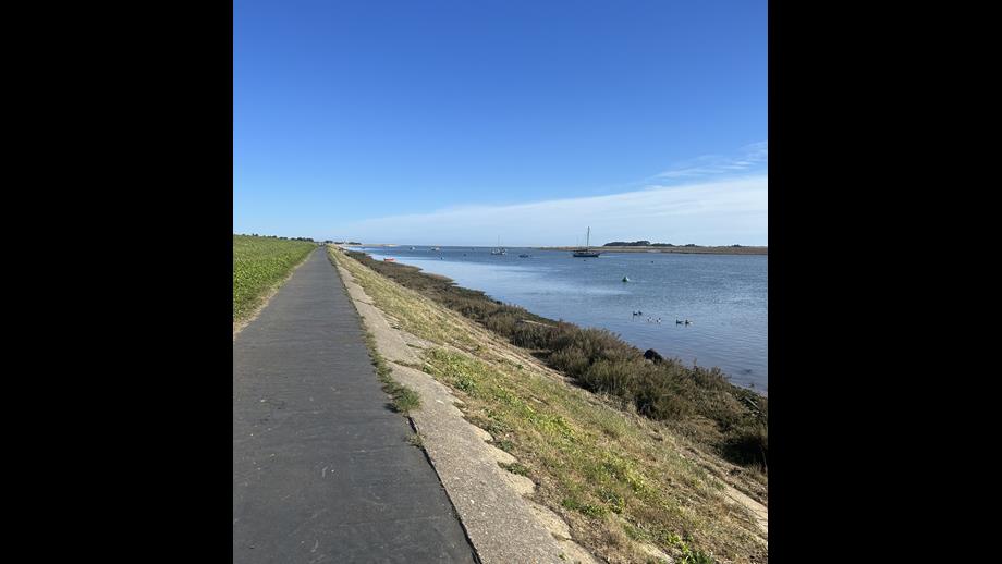 Wells next the sea beach bank, Sea to right of the picture. Blue skies and path stretching ahead
