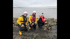Two crew members kneel with the casualty and dog next to the beach