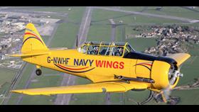 Yellow aircraft