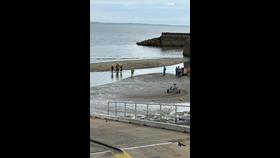 Newcastle RNLI involved in multi-agency rescue of young calf