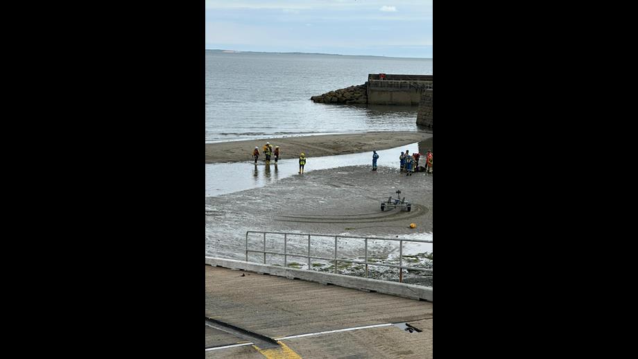 Newcastle RNLI involved in multi-agency rescue of young calf