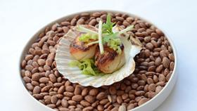 Scallops with fennel, apple and dill
