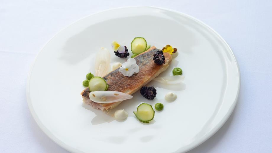 Spiced mackerel wrapped in pastry with picked vegetable, blackberries, and yoghurt