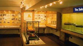 Inside the Salcombe RNLI Lifeboat Museum in Devon