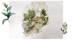 The watercolour design for our show garden, with an enticing paving leading you through a luscious flowering herbaceous borders towards statement trees including Chinese elm and Scots pine.