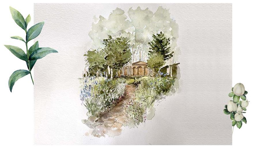 The watercolour design for our show garden, with an enticing paving leading you through a luscious flowering herbaceous borders towards statement trees including Chinese elm and Scots pine.