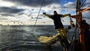 A fisherman stood on the bow of a boat leaning out toward the nets