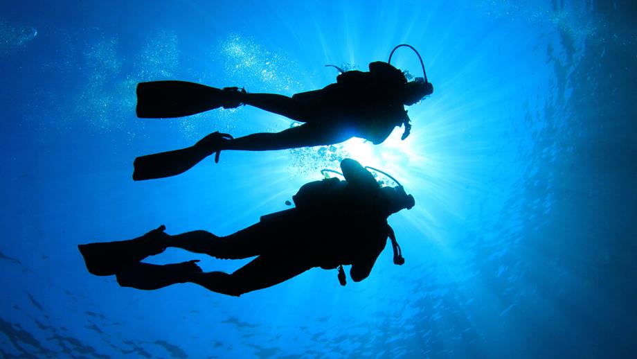 Two scuba divers just below the surface of the water and silhouetted against the sun