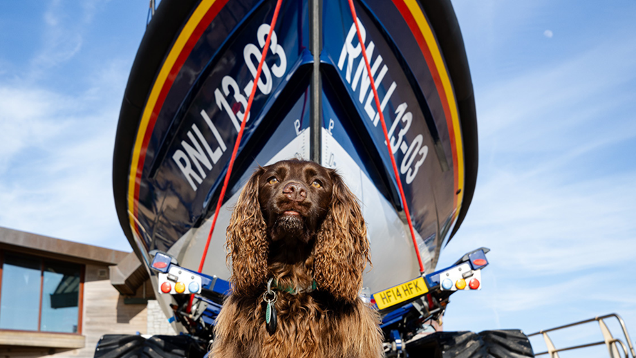 Exmouth station dog Riley sits proudly in front of the Launch a Memory Shannon class lifeboat on the slipway, with RNLI 13-03 shown on its sides.
