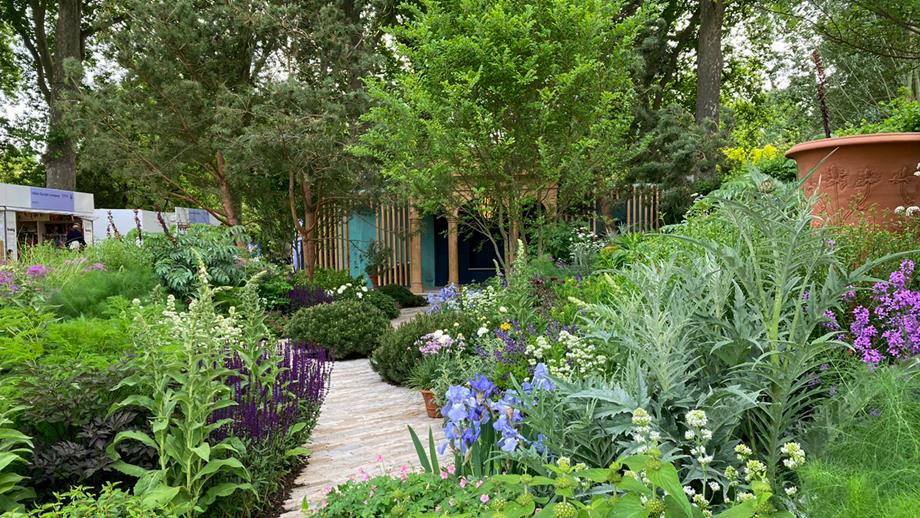 The RNLI’s garden at the RHS Chelsea Flower Show. There are lots of green plants with purple and white flowers on either side of a pathway.