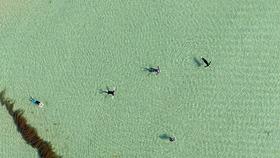 Aerial view of several people floating in the sea