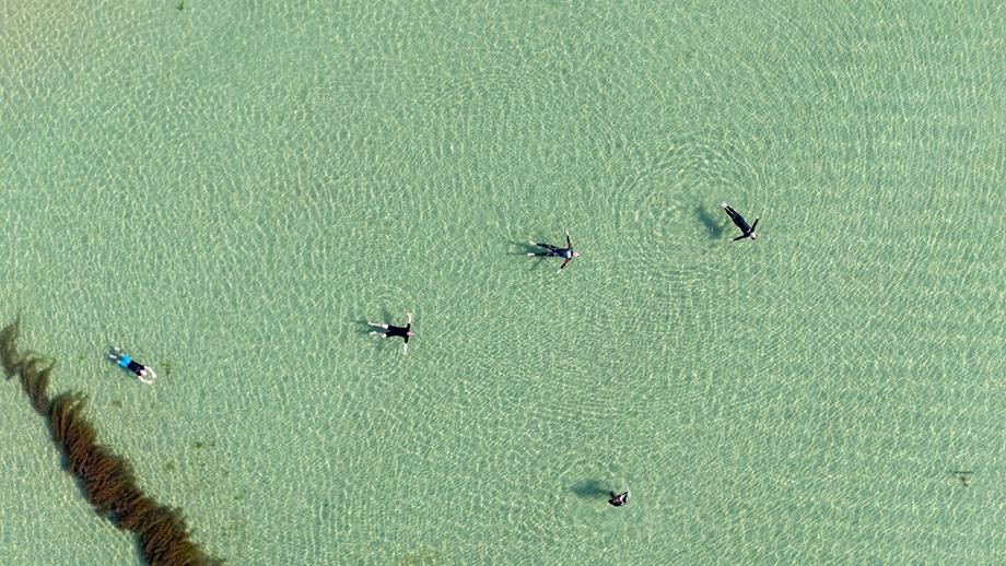 Aerial view of several people floating in the sea