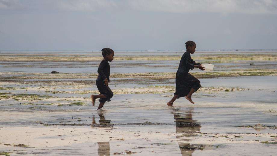 Children playing on the beach at low tide in Zanzibar